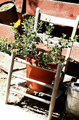 ... gets a whole new purpose si...